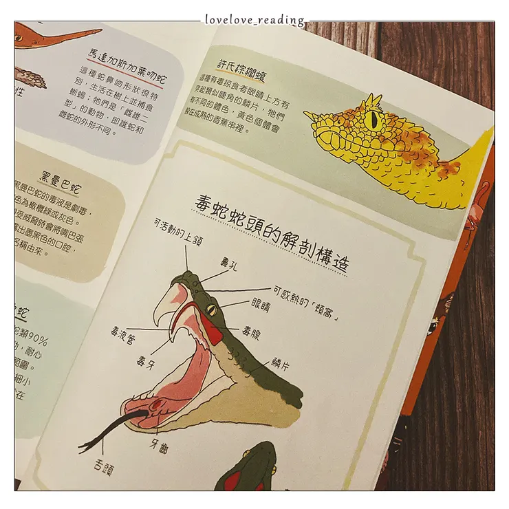 動物生態解剖書：揭祕世界各地野生動物的奇妙習性與生活