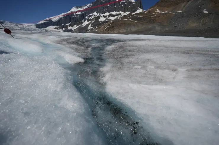 小冰溪真的有點黑黑的…
