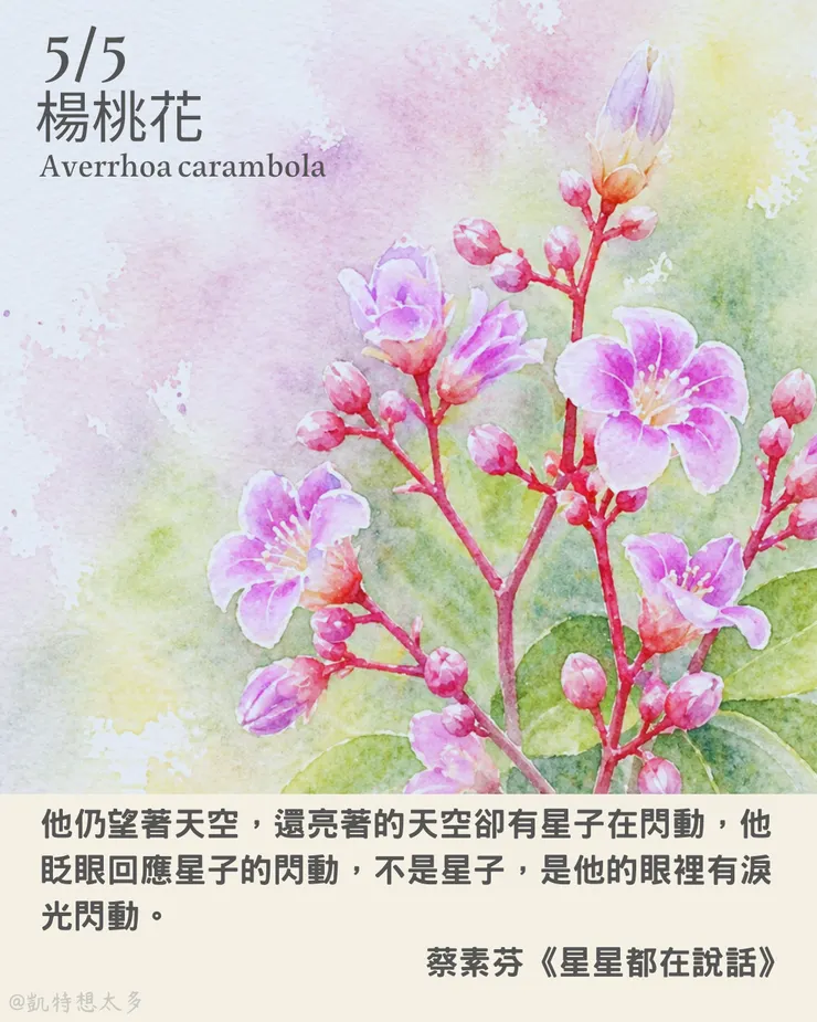 楊桃花×蔡素芬《星星都在說話》