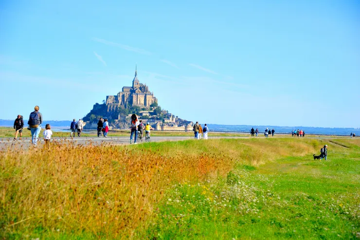 【從停車場到標的別偷懶搭接駁車 四十五分鐘走拍三公里絕不嫌多！不少人與我們有相同想法。右下可見怡青帶著阿肥徜徉草地，於無路處找路。】