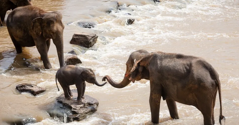 Giovanna 在教育的異想世界