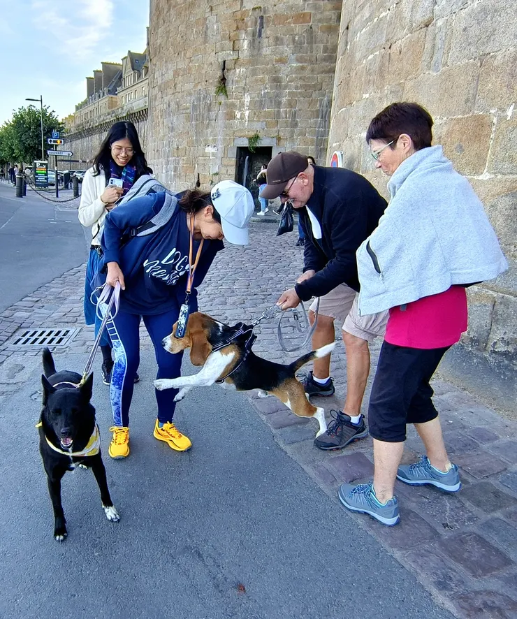 【才出城門遇到一隻米格魯興奮地要和阿肥交關，但後者酷酷地無動於衷。】