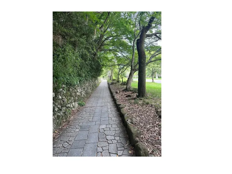 雖然是上坡，但散步還是很舒服，兩旁都是楓樹，可以想像秋天時一定超美的