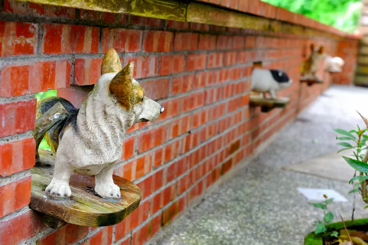 【避開尖峰獨享色彩斑斕的寧靜！這面牆有意思。】