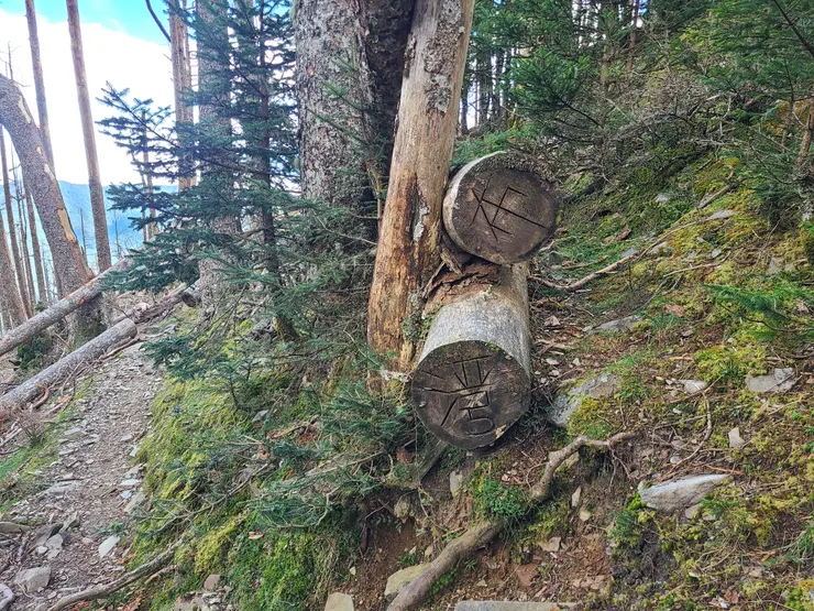 刻字木頭右側高繞