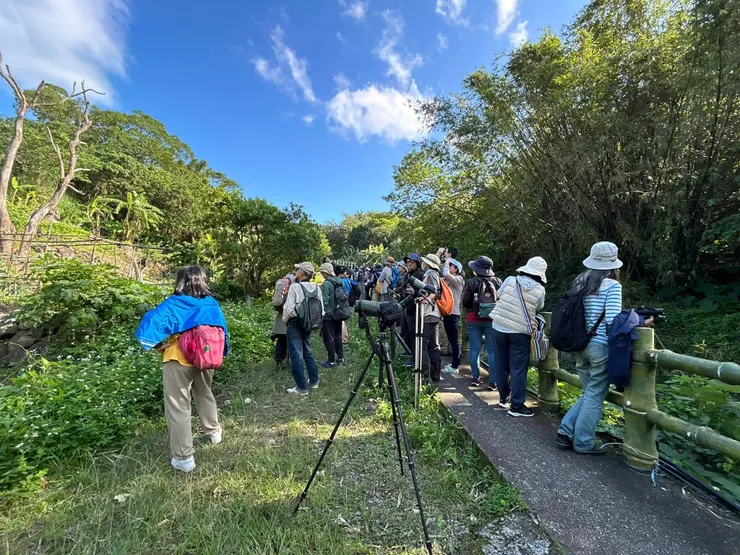 圖08 來，看向天空找猛禽