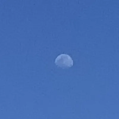 偽工科腦紀錄隨筆