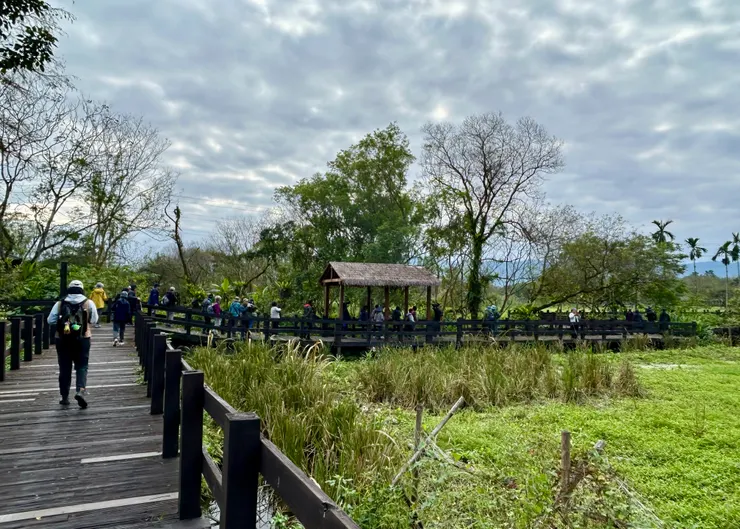 圖11 光復鄉馬太鞍欣綠農園園區內很適合散步賞鳥，清閒自在