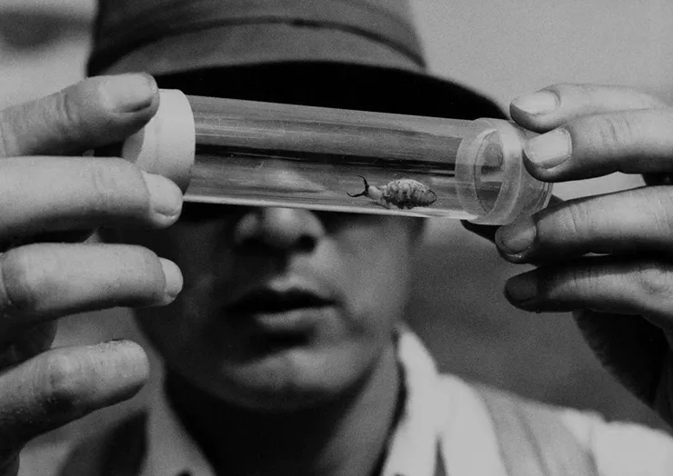 © 東宝株式会社（Toho Co., Ltd.）