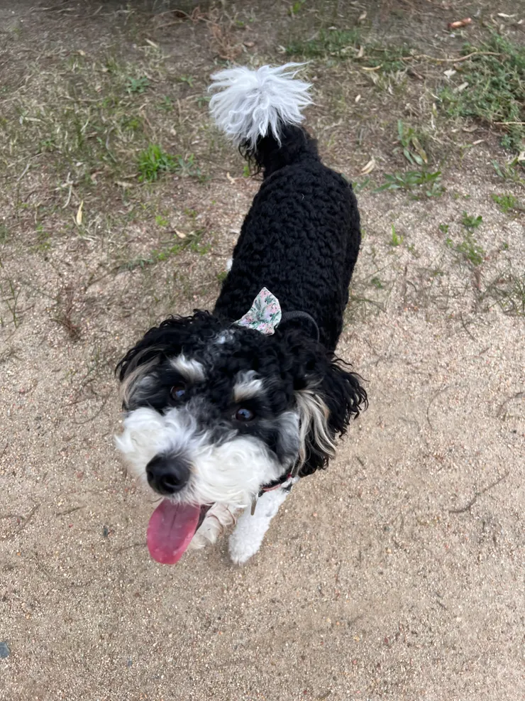 呢張好好彩影到因為佢成日都喺度奪命狂奔，好難影相