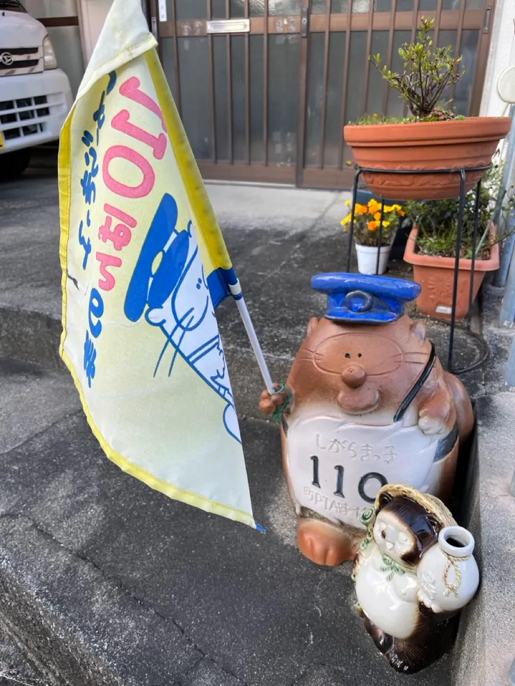 110也是狸貓 比傳統的可愛多了