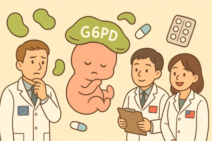 蠶豆症：能篩，但不一定要篩。