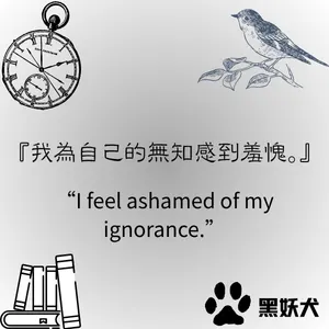 我為我的無知感到羞愧。