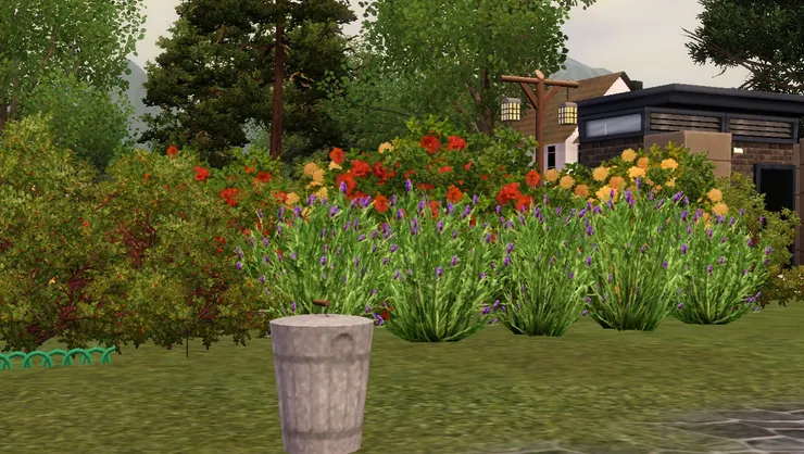 從這角度看這花圃色彩繽紛，令人心花也怒放。