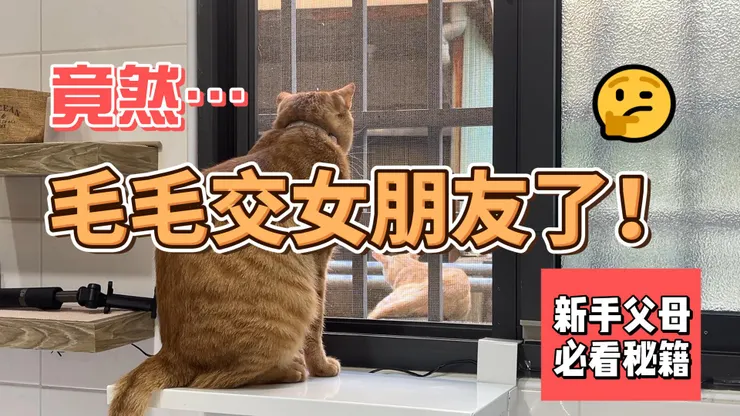 竟然...毛毛交女朋友了？！