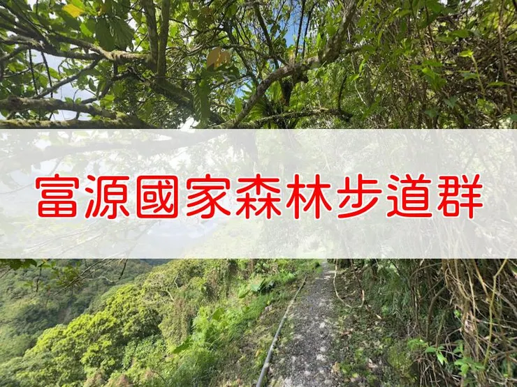 【花蓮】富源國家森林步道群 | 全長里程：單程8.41公里 | 難易度：低