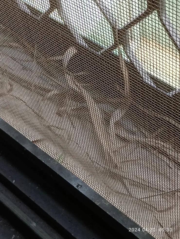 窗戶露台草盡落