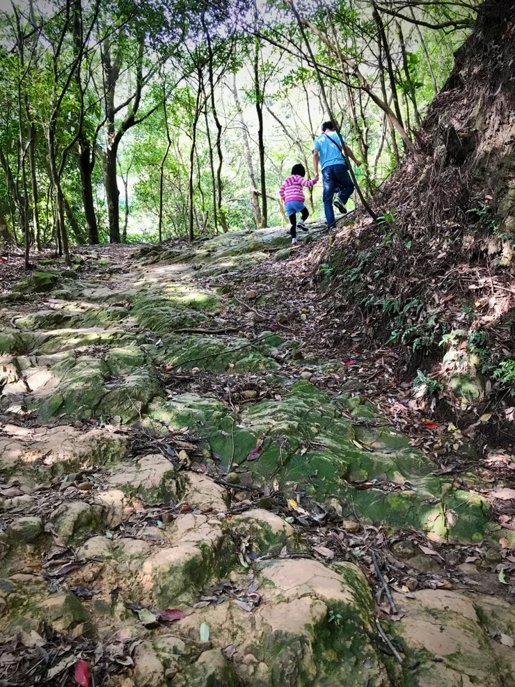 前面路段還算正常