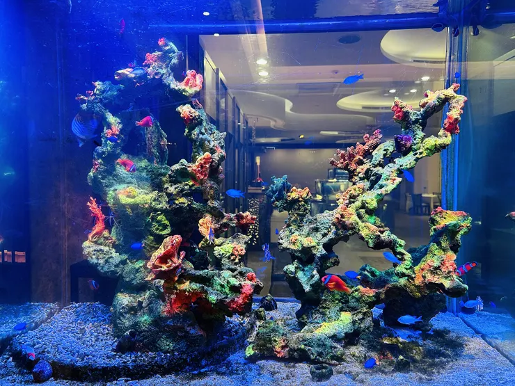 【永豐棧酒店】台中西屯區住宿推薦！超優惠一泊二食方案，入住「