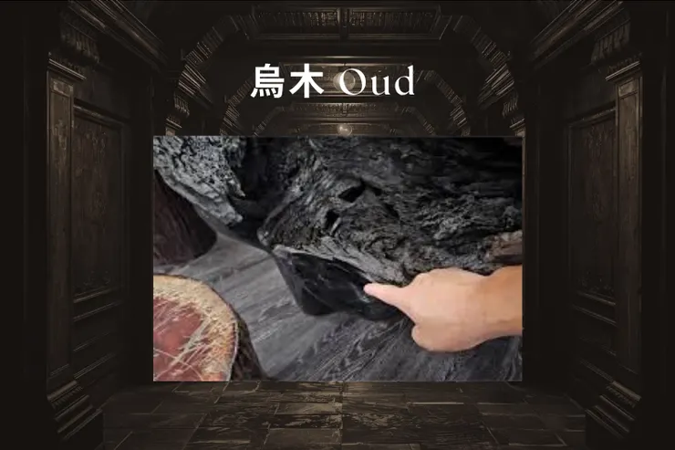 烏木 Oud —— 黑金木質、深邃力量感