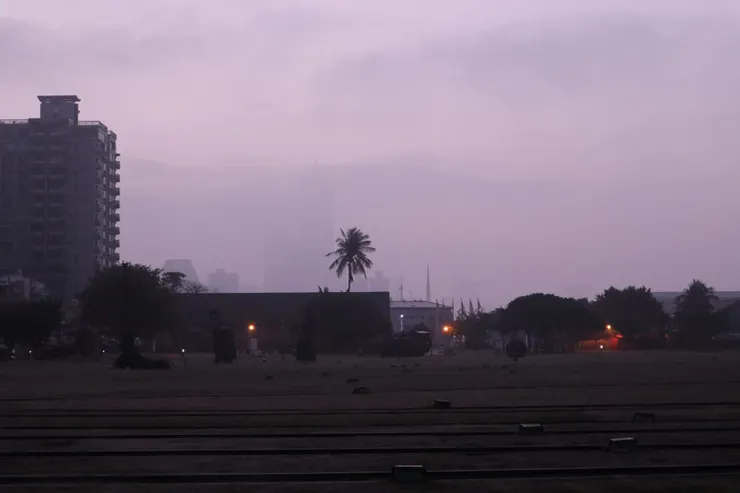 初四清晨六點的駁二大草原