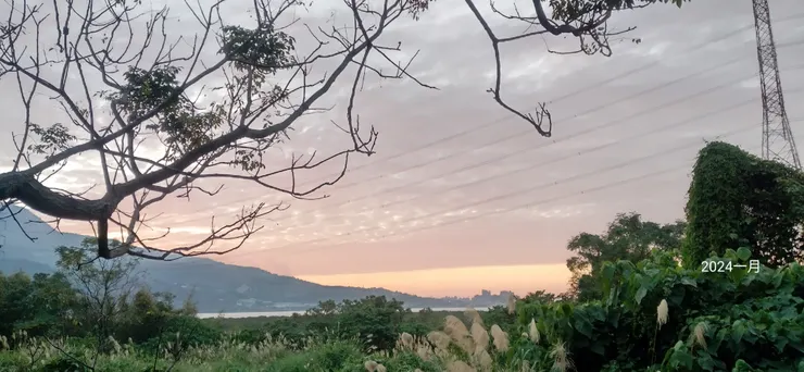 紅樹林站看晚霞