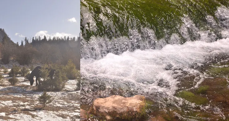 -月光氣象#30|藍月雙魚:聚合你所是,夢與現實是一體-