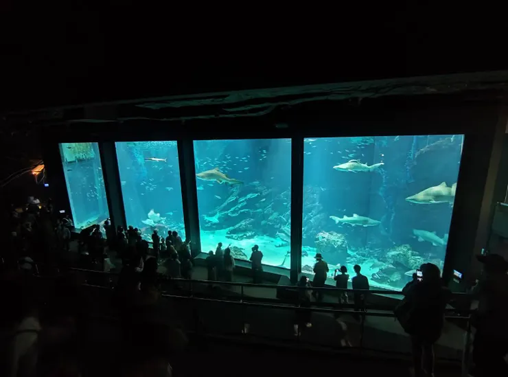 海洋世界海之中道