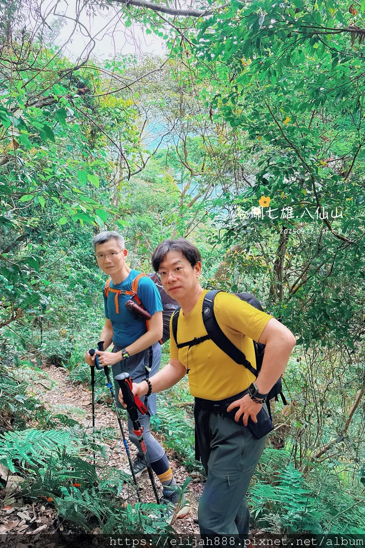 【谷關健行/住宿】谷關七雄老大。海拔2366公尺八仙山主峰。