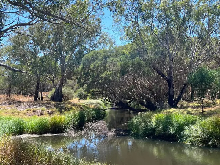 什麼?這樣也可以拍?