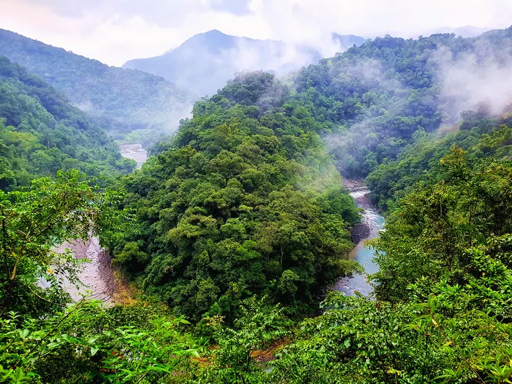 林道9.5K,桶後溪在此做了180度大轉彎,地質學上稱之為牛軛地形