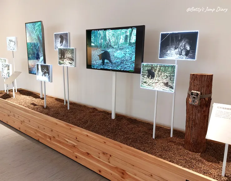 ▲台中「大雪山國家森林遊樂區」/圖片來源：Betty's Jump Diary