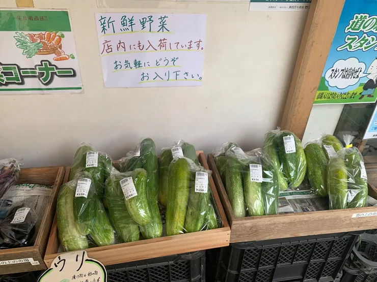 好漂亮的大黃瓜，三條150日圓，還真便宜。