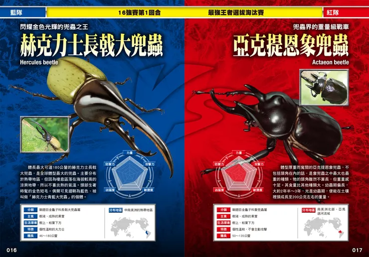 長戟大兜蟲對上亞克提恩象兜蟲｜《最強戰鬥２：鍬形蟲大王×獨角仙大王超級大戰圖鑑》｜小角落文化出版