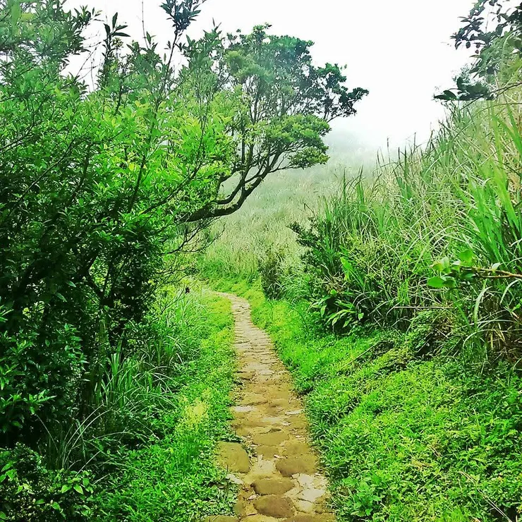 照片提供 | 梵靈乾坤工作室