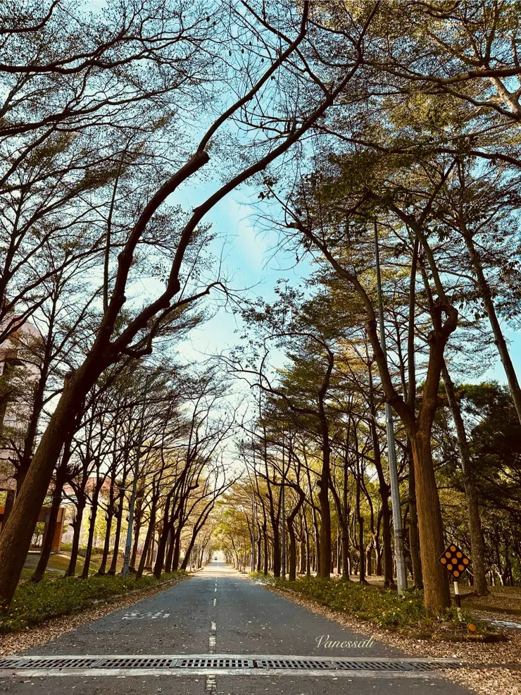 有秩序，整齊的美感