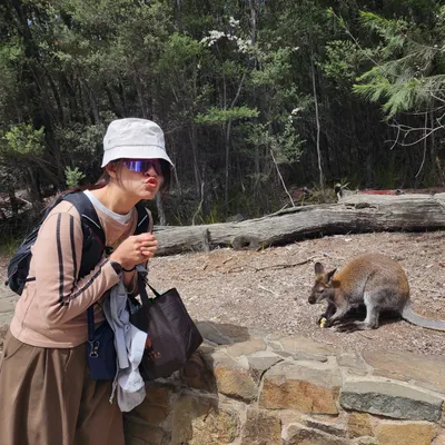 餵食野生動物萬萬母湯