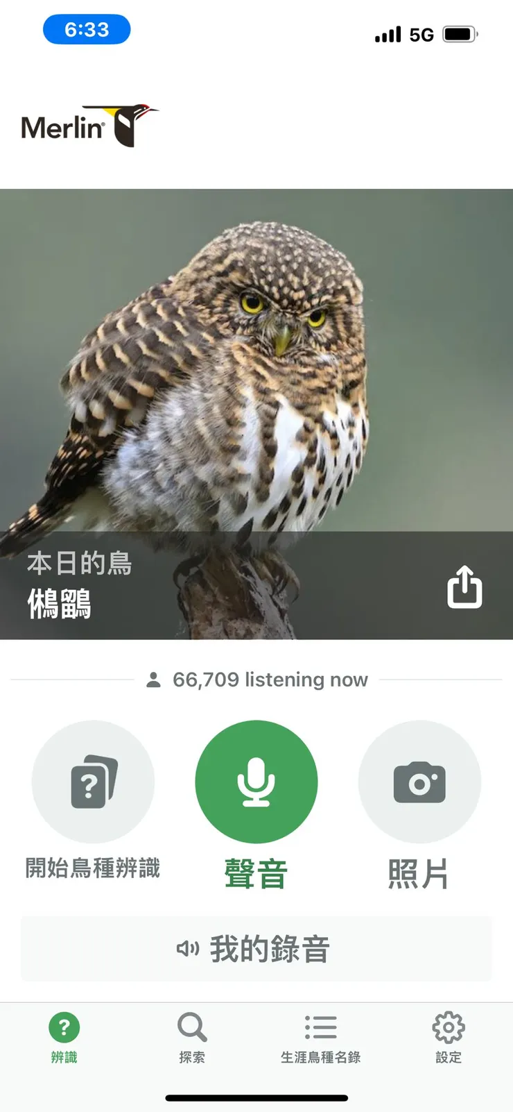 圖38 今日目標鳥難度太高~~~