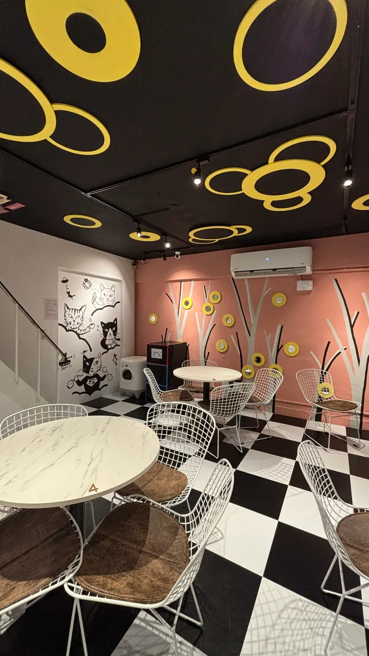 喵喵有約｜地下室有不少座位