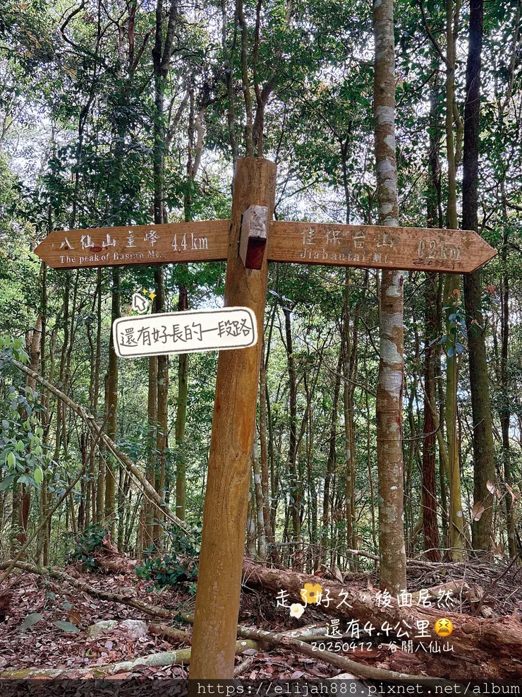 【谷關健行/住宿】谷關七雄老大。海拔2366公尺八仙山主峰。