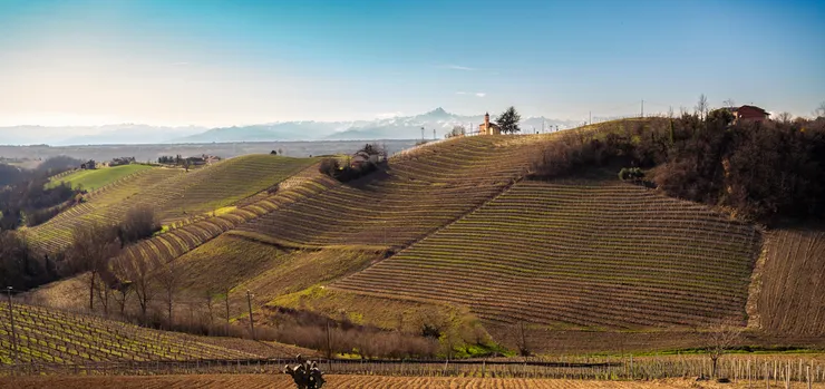 佩納庫拉多酒莊