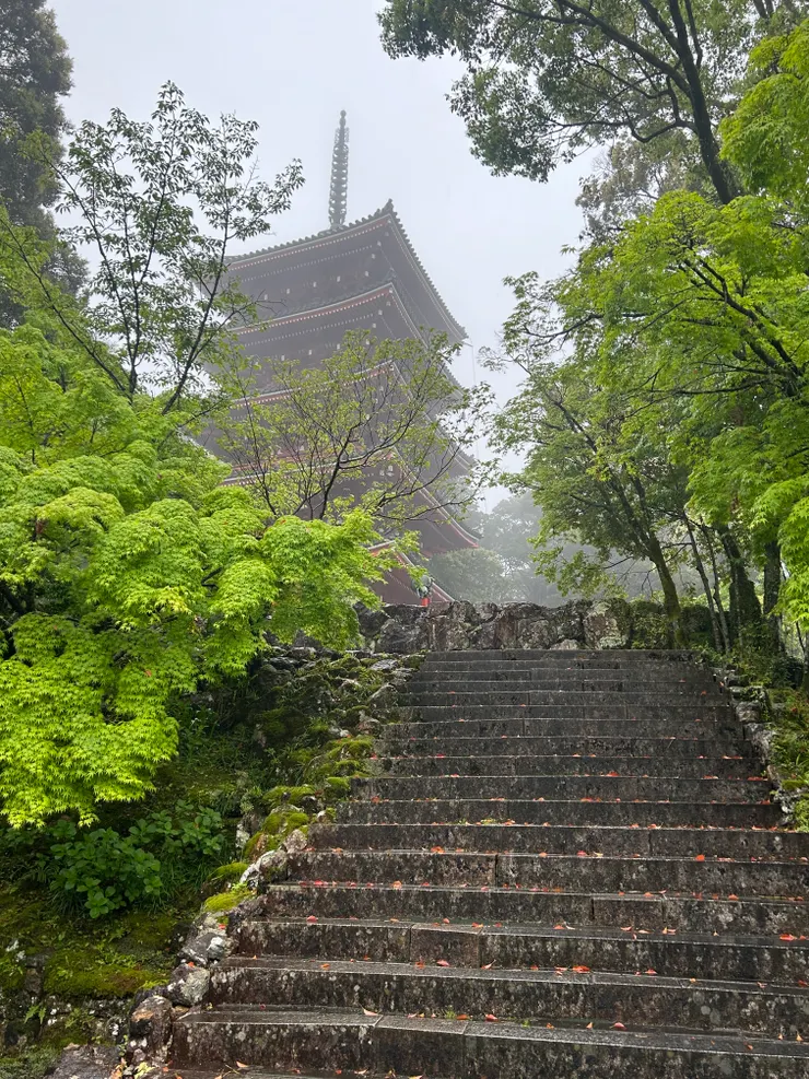 四國第三十一番-竹林寺  本尊：文殊菩薩