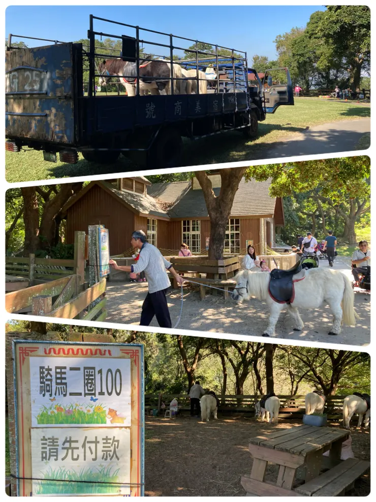 旁邊是騎馬體驗區,繞兩圈100元