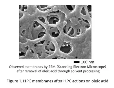 引用自同篇新聞稿