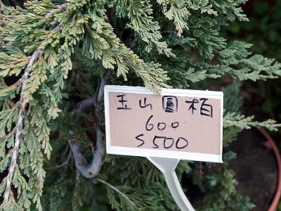 src