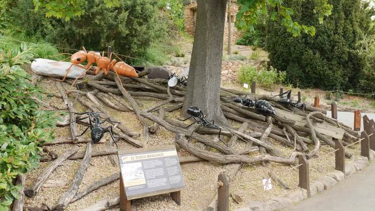 路上的螞蟻裝置藝術