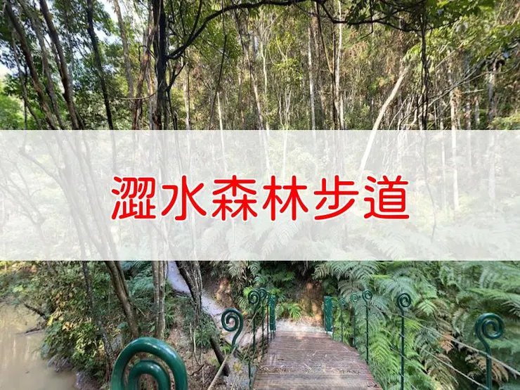 【南投】澀水森林步道 | 全長里程:4.2公里 | 難易度:低