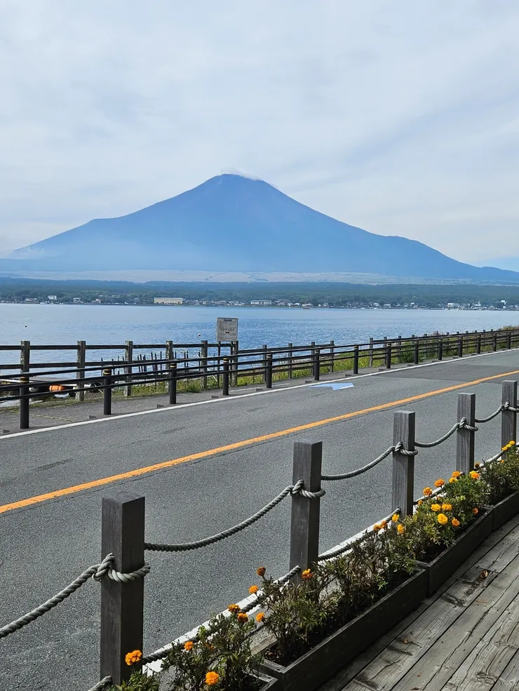 在等10點開門從The park拍過去的角度