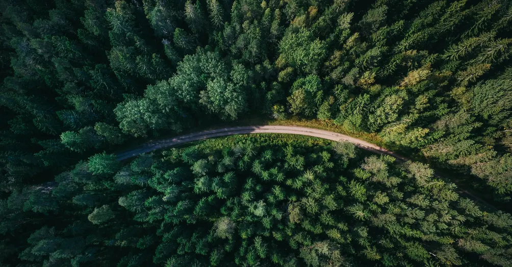 IMBW (I might be wrong)