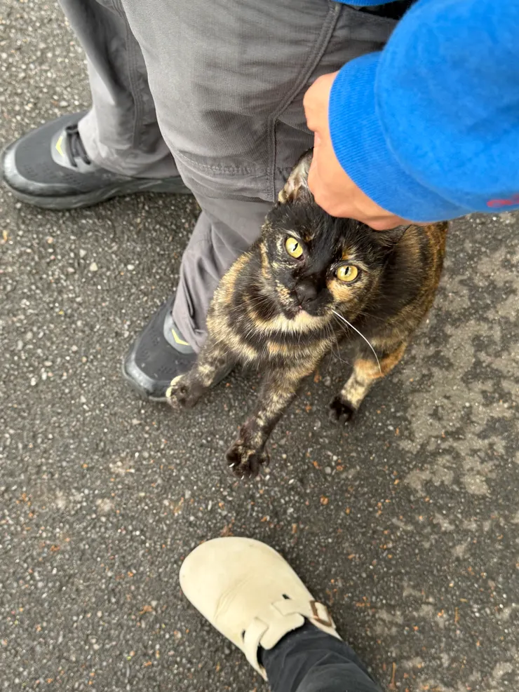 2026/04/01 蹭西瓜哥